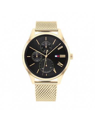 Montre TOMMY HILFIGER DAMON 1791848